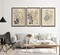Summer 3 Pcs Vintage Botanical Wall Decor, Nature Floral Plants Wall Decor with Daisies, Dandelion, and Wildflower Posters, Watercolor Rustic Farmhouse Canvas Prints, Boho Neutral Paintings for Living Room, Unframed